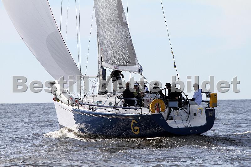 ORCi2 391.jpg